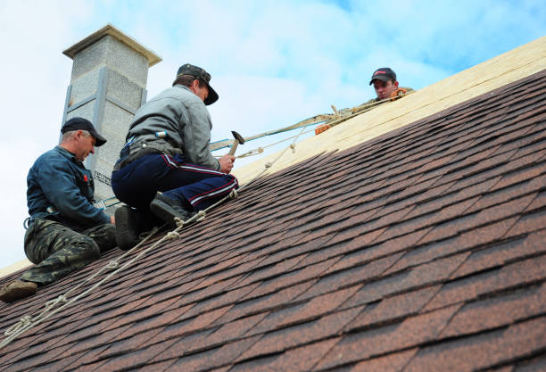 Best Shingle Roofing Installation  in Montesano, WA